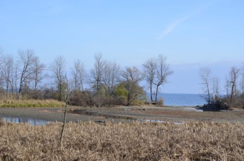 Photo of Rattray Marsh Lagoon Mississauga Ontario